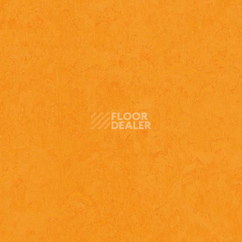 Линолеум Forbo Marmoleum Marbled Fresco 3262-326235 marigold фото 1 | FLOORDEALER